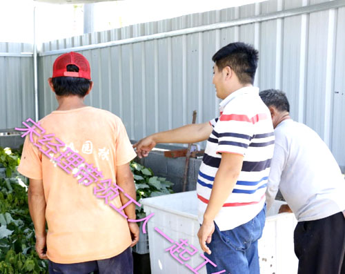 夏日來(lái)臨，當(dāng)你吹空調(diào)喊熱的時(shí)候，讓我?guī)阋黄鹱哌M(jìn)東楓園林體驗(yàn)一下東楓人高溫下工作不一樣的夏日風(fēng)采