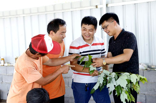 夏日來(lái)臨，當(dāng)你吹空調(diào)喊熱的時(shí)候，讓我?guī)阋黄鹱哌M(jìn)東楓園林體驗(yàn)一下東楓人高溫下工作不一樣的夏日風(fēng)采