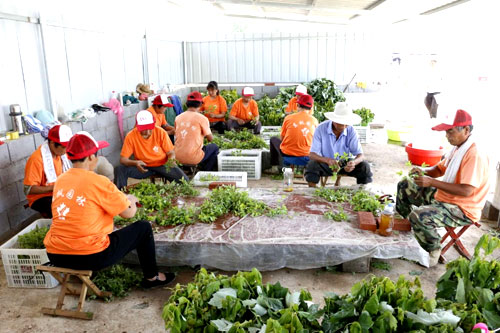 夏日來(lái)臨，當(dāng)你吹空調(diào)喊熱的時(shí)候，讓我?guī)阋黄鹱哌M(jìn)東楓園林體驗(yàn)一下東楓人高溫下工作不一樣的夏日風(fēng)采