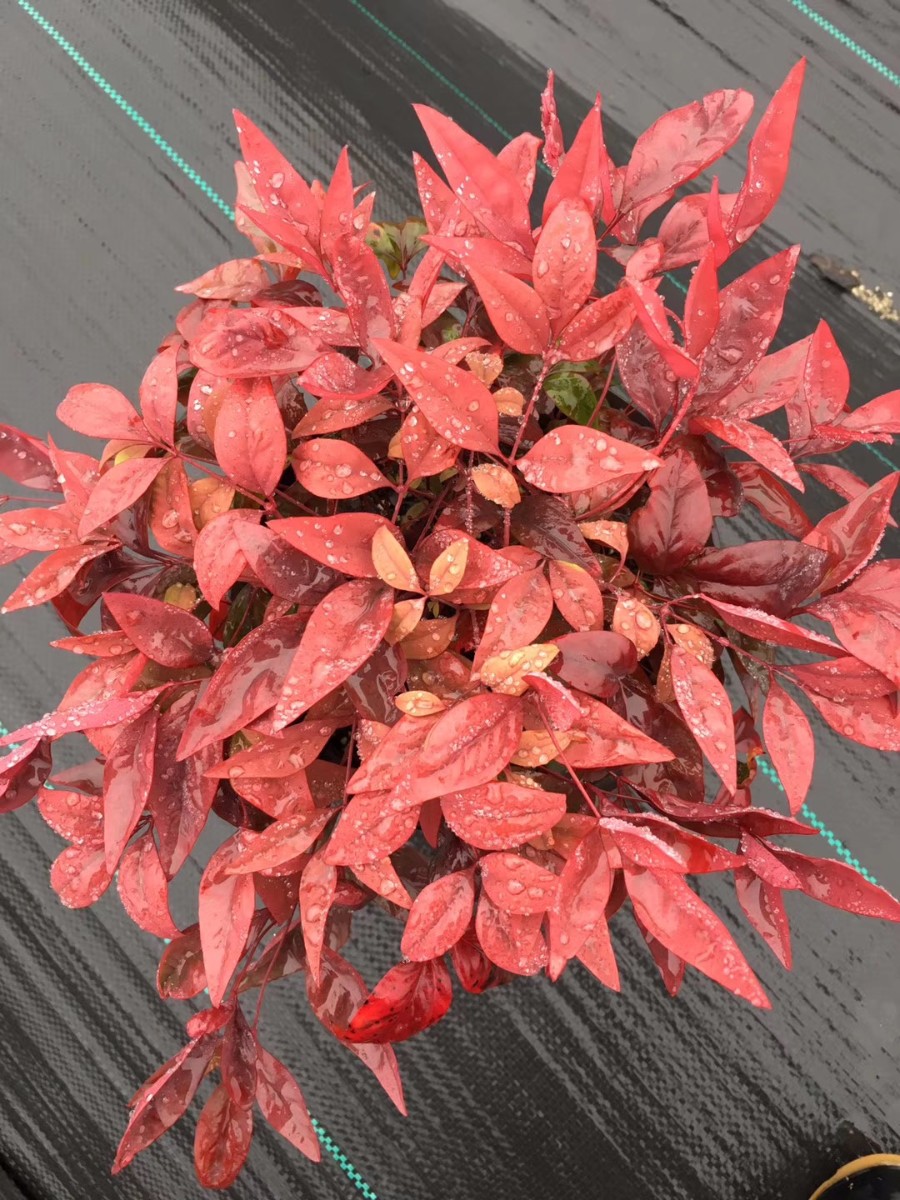 關(guān)于品質(zhì)，我們“用圖”說話