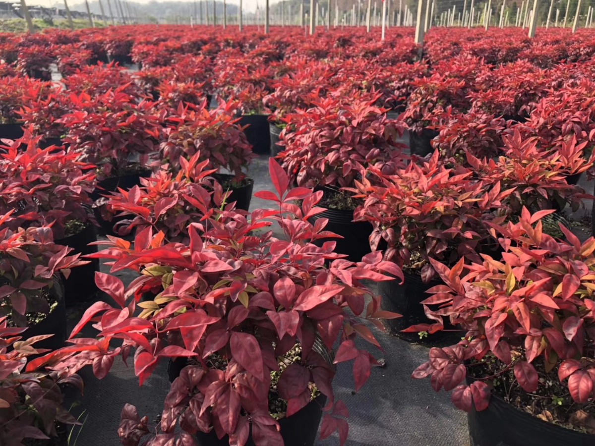 關(guān)于品質(zhì)，我們“用圖”說話