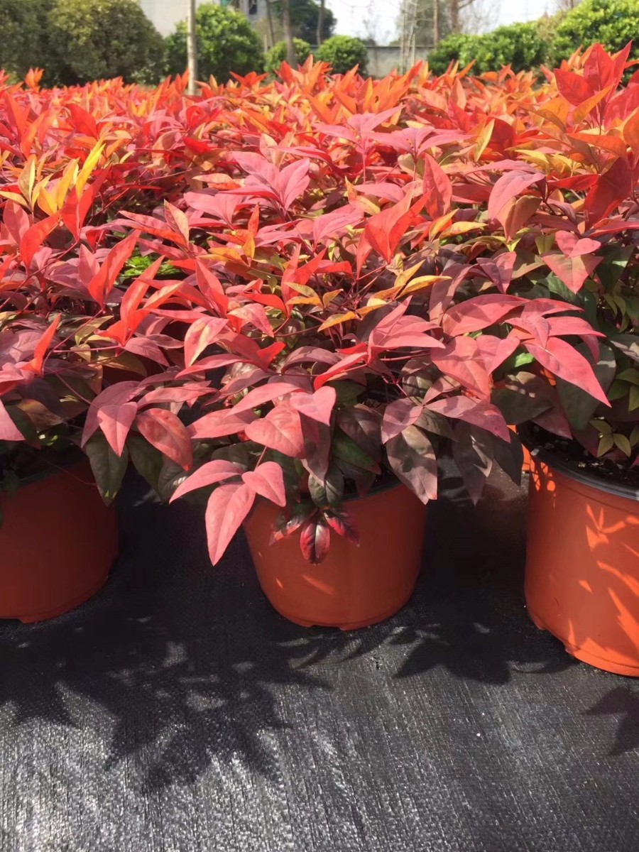 關(guān)于品質(zhì)，我們“用圖”說話